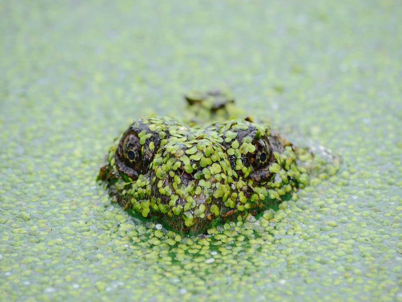 命运的齿轮<br>lyd4nhjn.cn 开始转动了